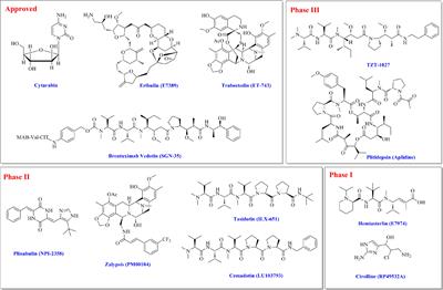 Deep-Sea-Derived Fungi as Valuable Producers of Cytotoxic Secondary Metabolites and Their Leads Potential